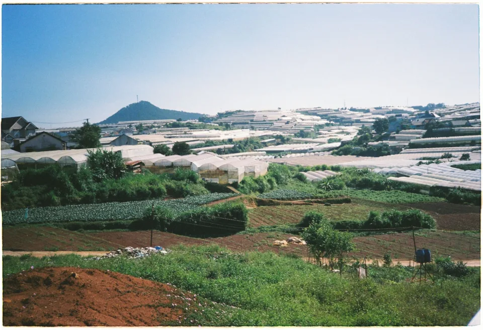 Luống rau mới xuống giống